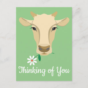 Koe Denkt Aan Jou Hallo Vermis Boerderij Boer Briefkaart