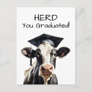 Koe Diпломkaart Kudde Wij Feliciteren Grappig  Briefkaart