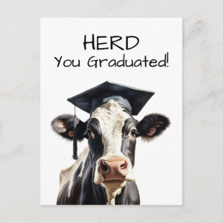 Koe Diпломkaart Kudde Wij Feliciteren Grappig  Briefkaart