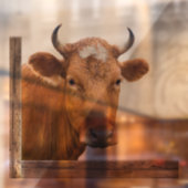 Koe die binnen of uit Venster kijkt Raamsticker (Vel 2)