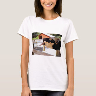 Koe die het op zijn tong legt voor popcorn t-shirt