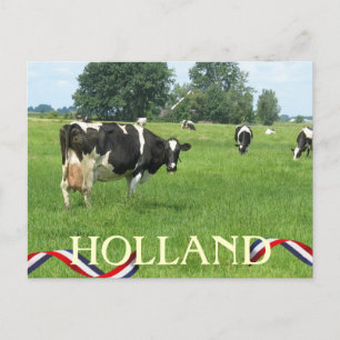 Koe die naar het Briefkaart van de Koeien van You 