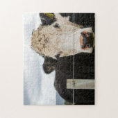 Koe door de Fence Legpuzzel (Verticaal)