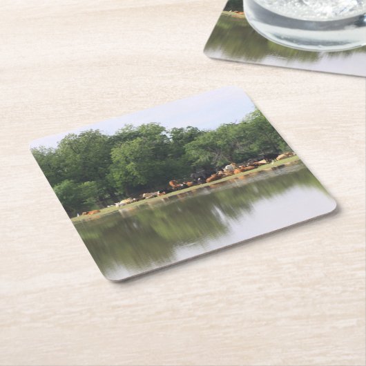 Koe Drink Onderzetter (Schuin)