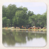 Koe Drink Onderzetter (Voorkant)