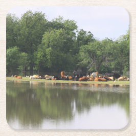 Koe Drink Onderzetter