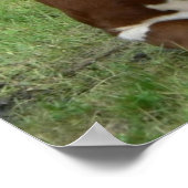 Koe- en calf-groen pasta-printPoster Poster (Hoek)