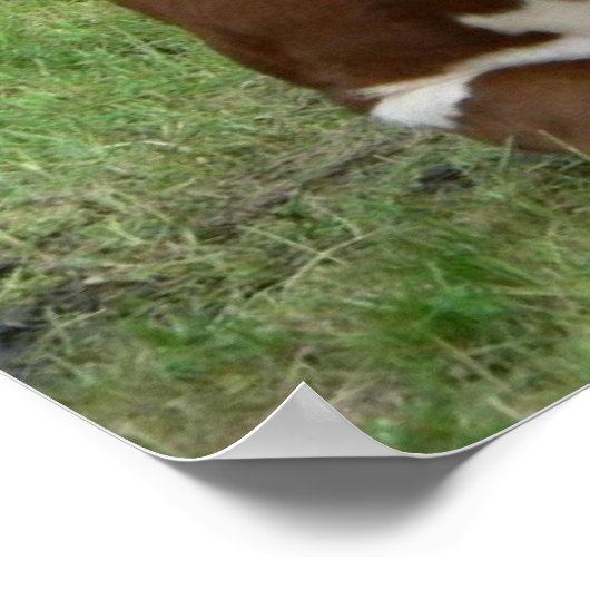 Koe- en calf-groen pasta-printPoster Poster (Hoek)