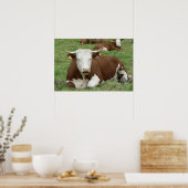 Koe- en calf-groen pasta-printPoster Poster (Keuken)