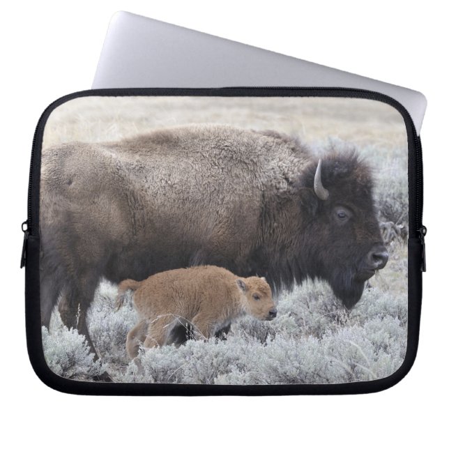 Koe en kalf Bison, geelsteen Laptop Sleeve (Voorkant)