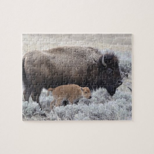 Koe en kalf Bison, geelsteen Legpuzzel (Horizontaal)