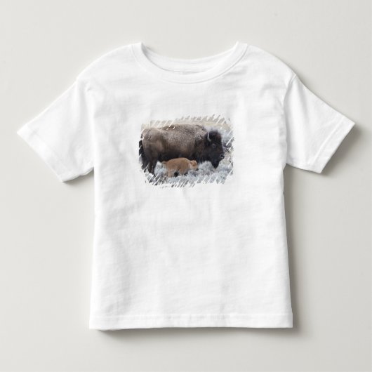 Koe en Kalf Bizon, Yellowstone Kinder Shirts (Voorkant)