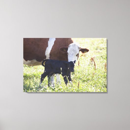 Koe en kalf canvas afdruk (Voorkant)