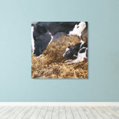 Koe en kalf in Hay Canvas Afdruk (Insitu (Houten vloer))