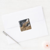 Koe en kalf in Hay Vierkante Sticker (Envelop)