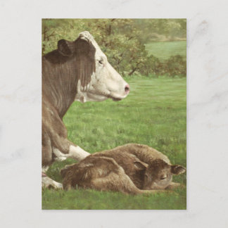 koe en kalf in het veld briefkaart