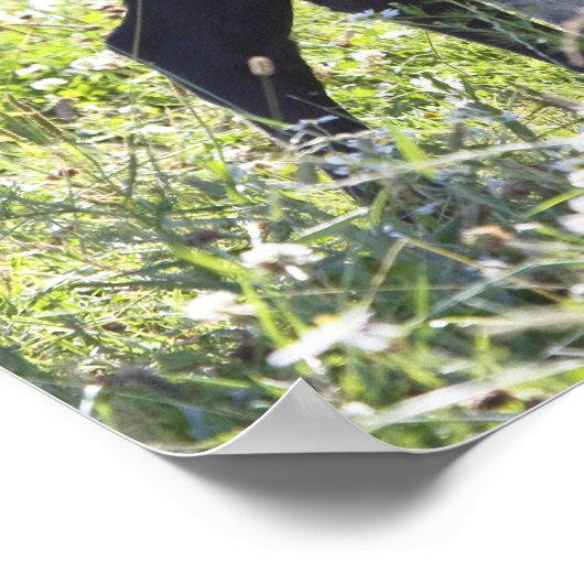 Koe en kalf poster (Hoek)