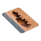 Koe en kalf van American Bison (Bison Bison) Magneet (Rechterzijde)