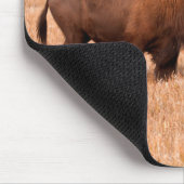 Koe en kalf van American Bison (Bison Bison) Muismat (Hoek)