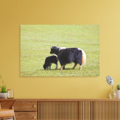 Koe en kalf Yak, Lijiang Canvas Afdruk (Insitu (Woonkamer))