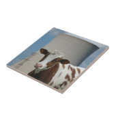 Koe- en kerncentrale koeltoren tegeltje (Zijkant)