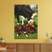 Koe en pasgeboren kalveren canvas afdruk (Insitu (Woonkamer))