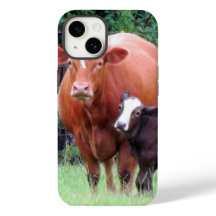 Koe en telefoonkwestie Calf