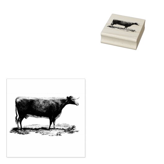  koe etsen rubberstempel (Gestempeld)