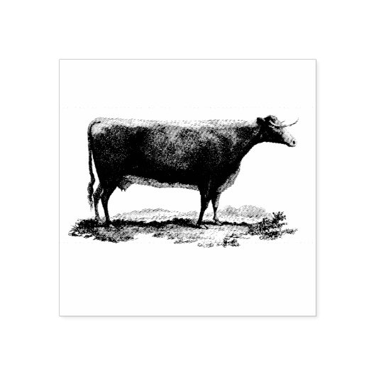  koe etsen rubberstempel (Afrduk)