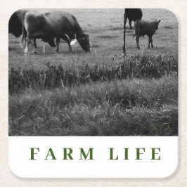 Koe Familie Thema Drinkkasten Kartonnen Onderzetters