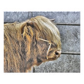 KOE FOTO AFDRUK (Voorkant)