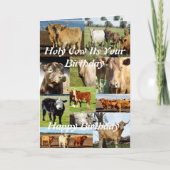 Koe Foto Collage, Birthday Kaart (Voorkant)