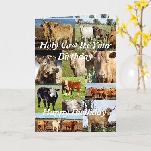 Koe Foto Collage, Birthday Kaart (Gele Bloem)