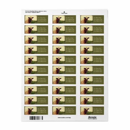 Koe foto etiket (Full Sheet)