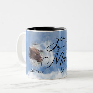 Koe FOTO Memorial Sympathy You Had Me at Meow Tweekleurige Koffiemok