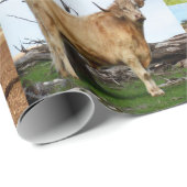 Koe fotocollage, cadeaupapier (Rol Hoek)