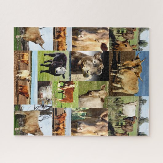 Koe fotocollage, legpuzzel (Horizontaal)