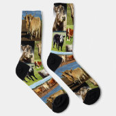 Koe fotocollage, Sokken van bemanningsleden (Rechts)