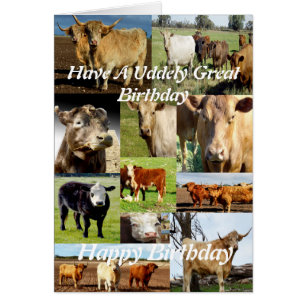 Koe fotocollage, Udderly Great Birthday