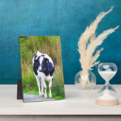 KOE FOTOPLAAT (Zijkant)