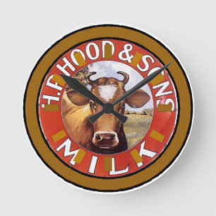 Koe gezicht,  melkkuiken ronde klok
