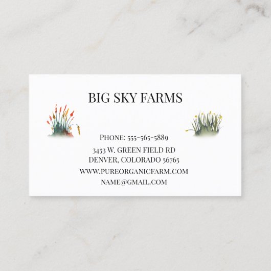 Koe Grasgevoede Farming Boerderij Waterverf Visitekaartje (Achterkant)