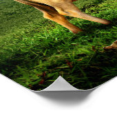 Koe Grazing in een Schilderachtig pasta Poster (Hoek)