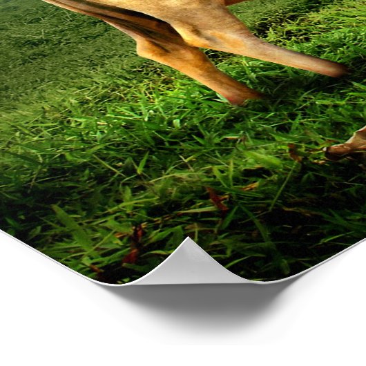 Koe Grazing in een Schilderachtig pasta Poster (Hoek)