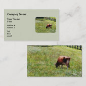 Koe Grazing in pasta Visitekaartje (Voorkant / Achterkant)