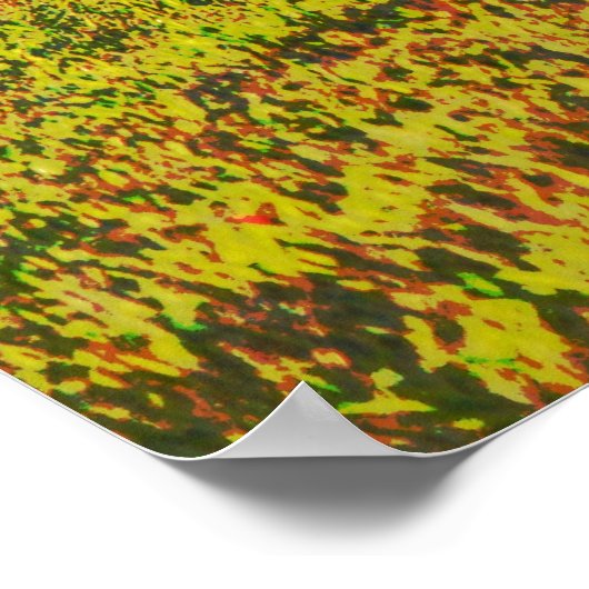 Koe Grazing in Texas Holstein Art Poster (Hoek)