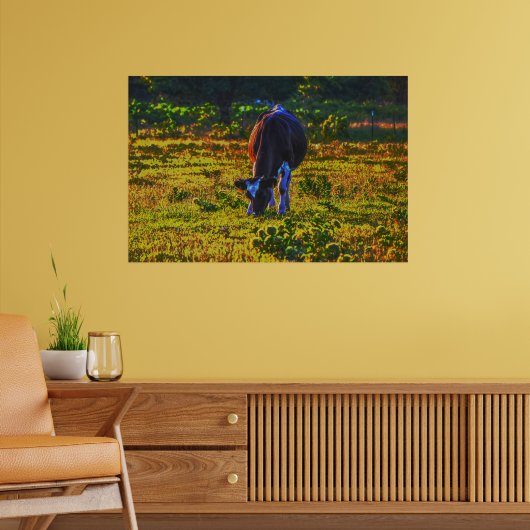 Koe Grazing in Texas Holstein Art Poster (Woonkamer 2)