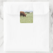 Koe grazing in weide vierkante sticker (Tas)
