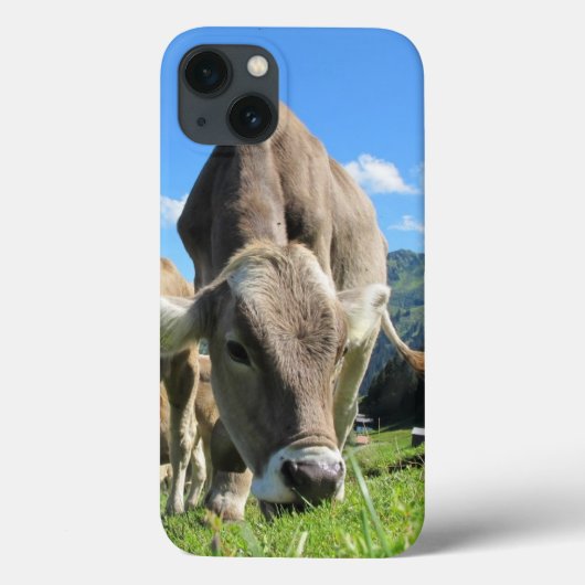 Koe grazing iPad-draagtas Case-Mate iPhone Case (Achterkant)