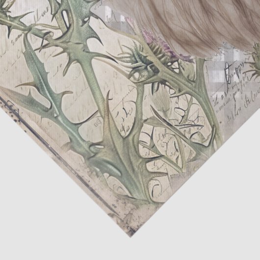 Koe Highland Scotland Thistle Waterverf Tissuepapier (Detail)